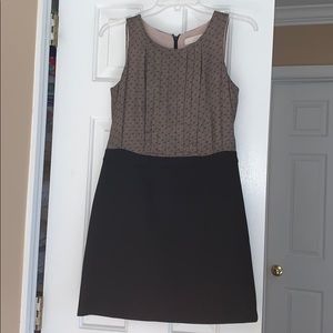 LOFT Business Dress